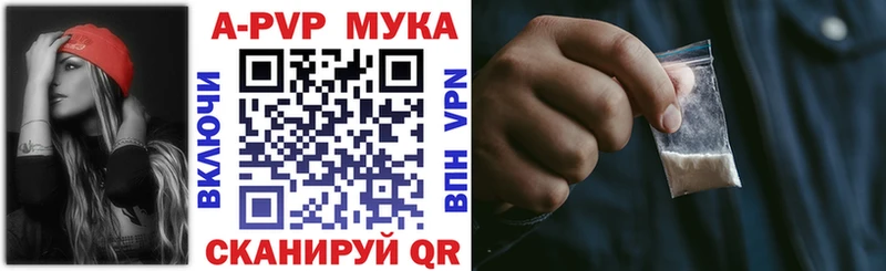 где купить наркоту  Гусев  Alfa_PVP СК 