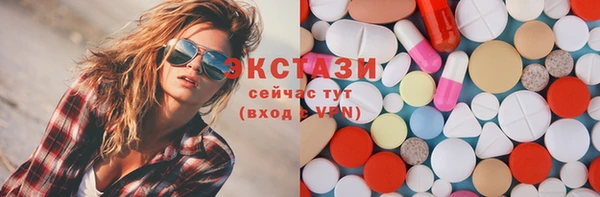 индика Вяземский
