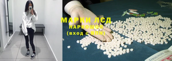 индика Вяземский