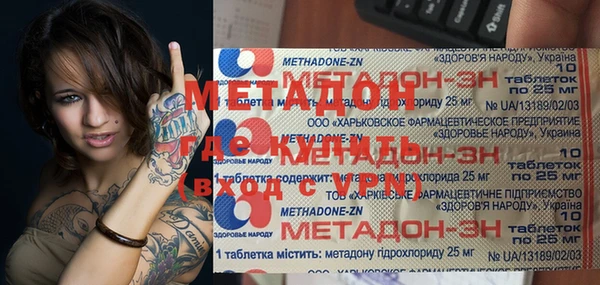 индика Вяземский