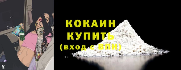 стаф Верея