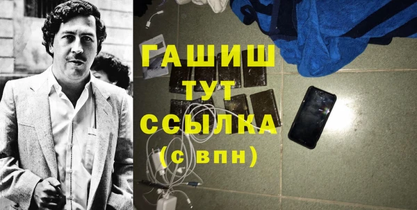 индика Вяземский