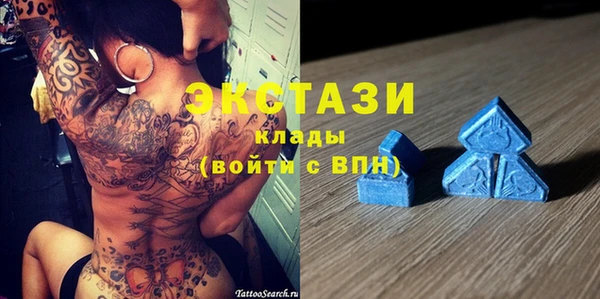 индика Вяземский
