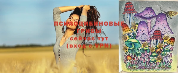 индика Вяземский