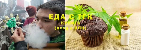 индика Вяземский