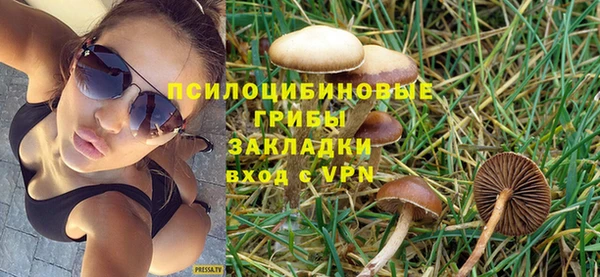 индика Вяземский
